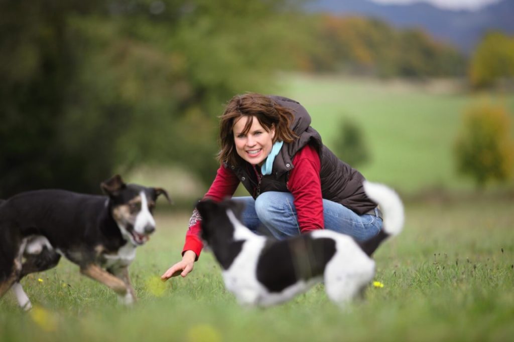 Antworten für Welpenbesitzer Hundetraining LEICHT gemacht