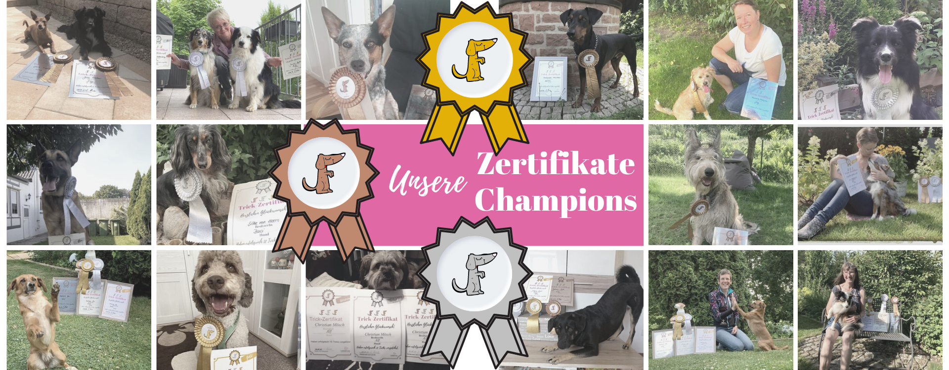 HP_Collage Champions