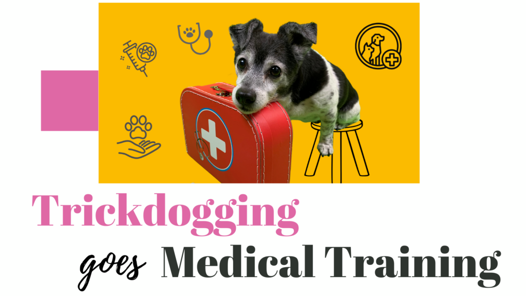 Trickdogging goes Medical Training: Die Verbindung zwischen Tricktraining und Gesundheitsvorsorge für Hunde