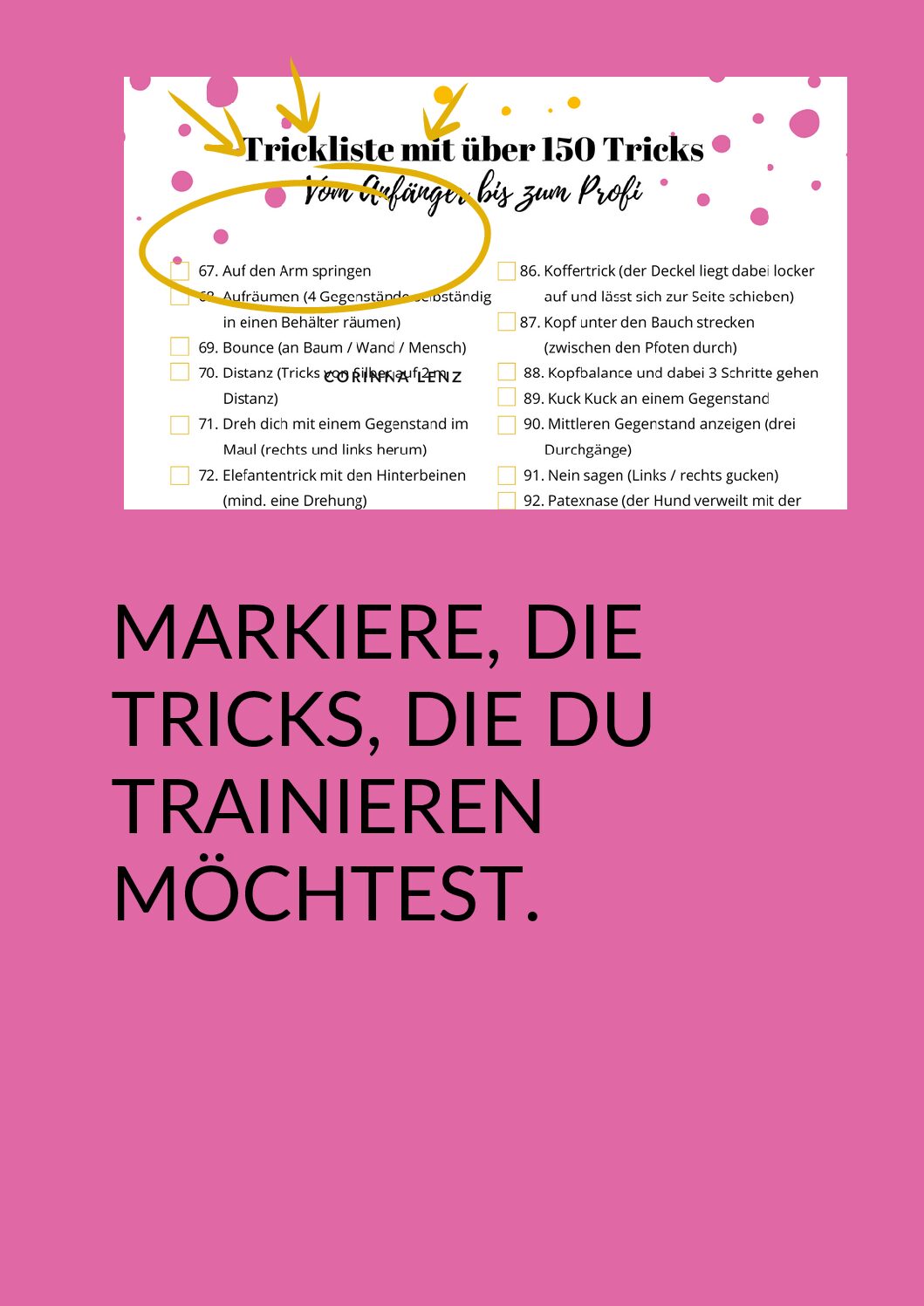 Copy of Kopie von Tricklisten (1)